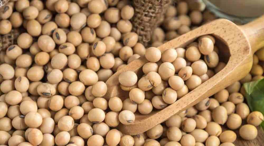 China Poised to Buy More U.S. Soybeans