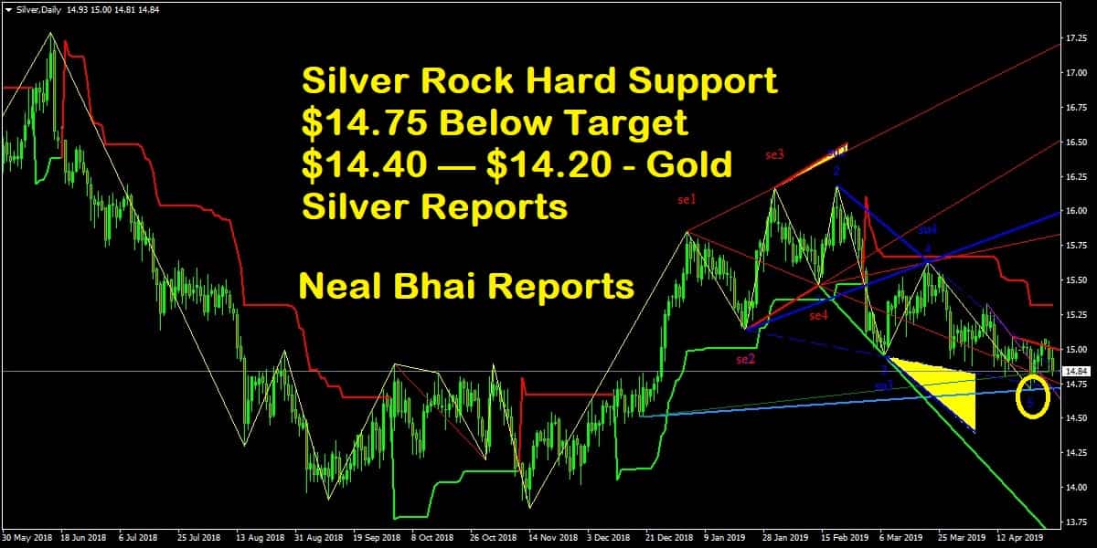 Silver Spot Support